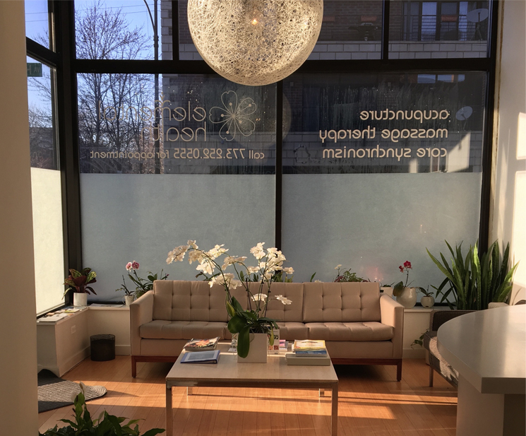 Photo of the lobby of Elemental Health with a couch and coffee table. Various Plants are scattered around the lobby. Floor to ceiling windows looking out on a city street.