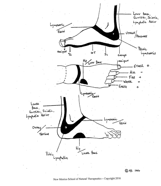 Reflexology image is a line drawing of the human foot in various angles with parts of the foot called out that help with the body healing